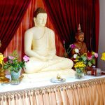 Insurance For the  Sanghawasa