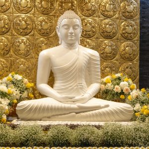 Insurance For the  Sanghawasa